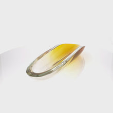 Load and play video in Gallery viewer, Curved Cut &amp; Polished Vessel
